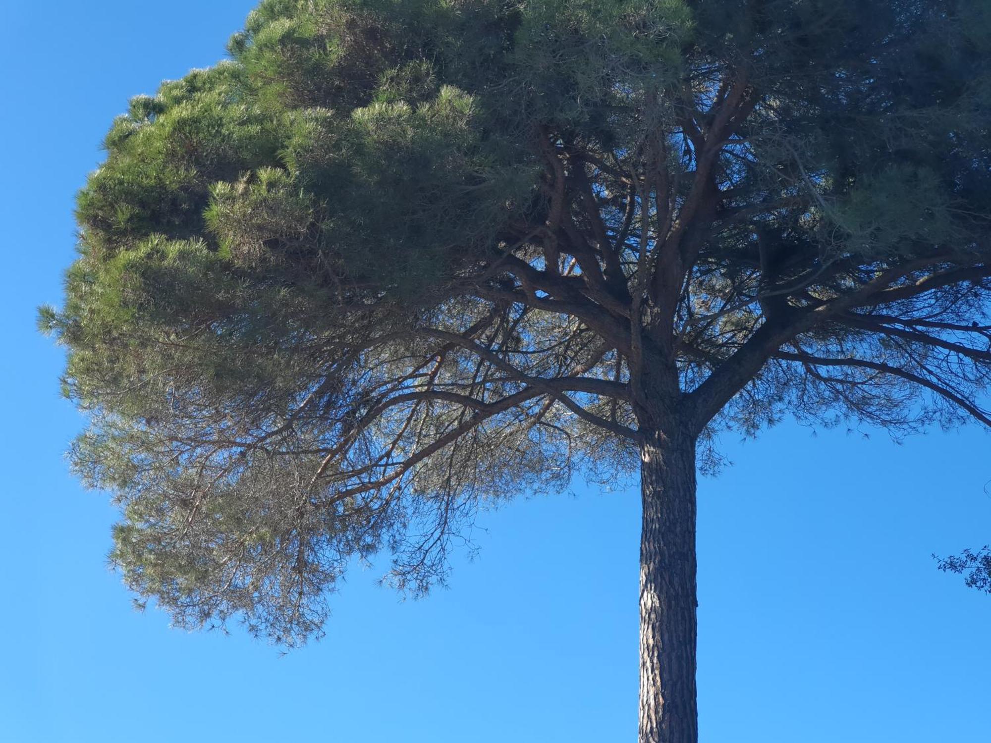 Spa Ibiza Dosrius Canyamás Dış mekan fotoğraf
